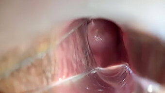 Intense Pleasure: Vaginal Contractions And Orgasm Close Up