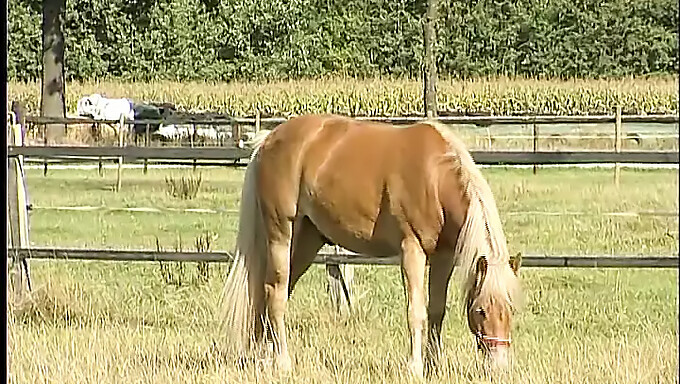 Adolescenta agricolă se bucură de joacă solo în pădure