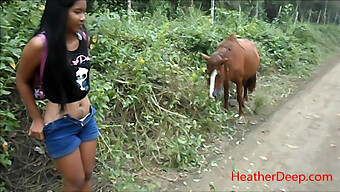 High-Quality Video Of Peeing Next To A Horse In The Wilderness