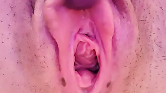 Amerikkalainen Amatööri Creampie-Orgasmi